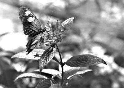 DSC_6585-2