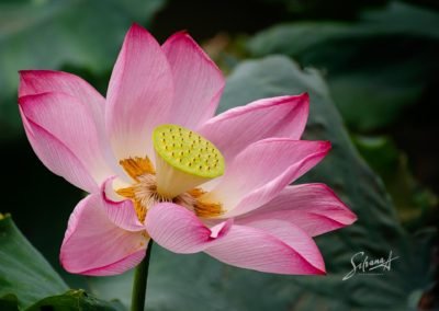 China Photography