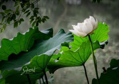 China Photography
