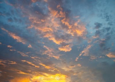 Florida Sky