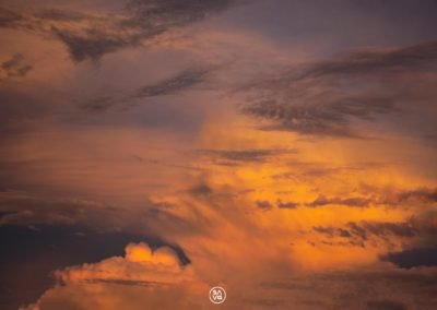Florida Sky