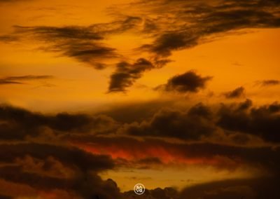 Florida Sky