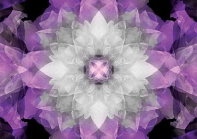 Flower Mandala Art 1