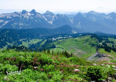 Mount Rainier National Park