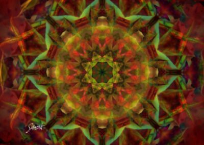 Fantasy Metamorphosis