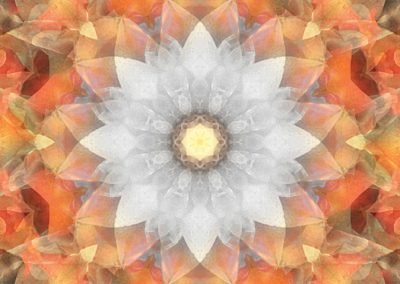 Flower Mandala Art 2